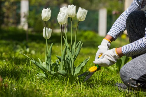 Collaborative community gardening initiative by Gardeners World Team