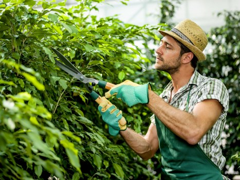 Sustainable gardening practices promoted by the Gardeners World Team